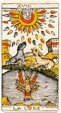 card-14