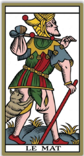 card-6
